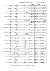 Robert Brunnlechner: Taormina - Marsch im italienischen Stil