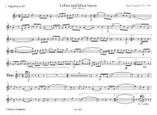 Ernst Schandl: Leben & leben lassen - Marsch PDF