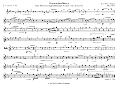 Franz Josef Wagner: Donauwellen - Marsch PDF