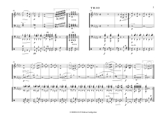Franz Josef Wagner: Donauwellen - Marsch PDF
