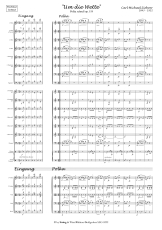 Ziehrer: Um die Wette Polka schnell op. 119