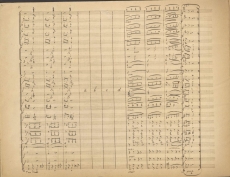Carl Michael Ziehrer: Um die Wette Opus 119