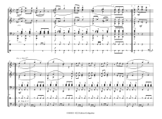 Carl Michael Ziehrer: Um die Wette Opus 119