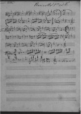 Johann Strauss I Annen - Polka 137tes Werk