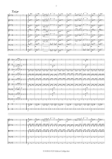 Ziehrer: Fürst Karol Marsch Opus 195