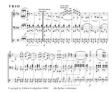 Robert Brunnlechner: Taormina - Marsch im italienischen Stil - PDF