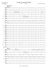 Ziehrer: In der Sommerfrische Walzer Opus 318