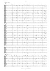 Ziehrer: In der Sommerfrische Walzer Opus 318