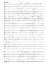 Ziehrer: In der Sommerfrische Walzer Opus 318