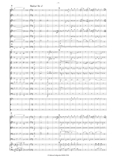 Ziehrer: In der Sommerfrische Walzer Opus 318