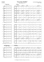 Ziehrer: Um die Wette Polka schnell op. 119