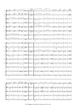 Ziehrer: Um die Wette Polka schnell op. 119