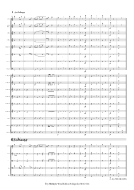 Ziehrer: Um die Wette Polka schnell op. 119