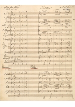 Ziehrer: Um die Wette Polka schnell op. 119