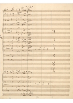 Ziehrer: Um die Wette Polka schnell op. 119