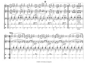 Carl Michael Ziehrer: Um die Wette Opus 119