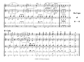 Carl Michael Ziehrer: Um die Wette Opus 119